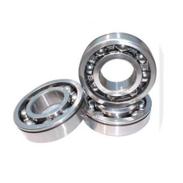 Deep Groove Ball Bearing 6902 by Entity Factory for Skateboard