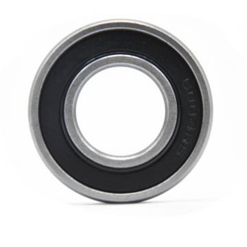 High Precision 20X47X14mm Single Double Row Cylindrical Roller Bearing Nu for Heavy Industries